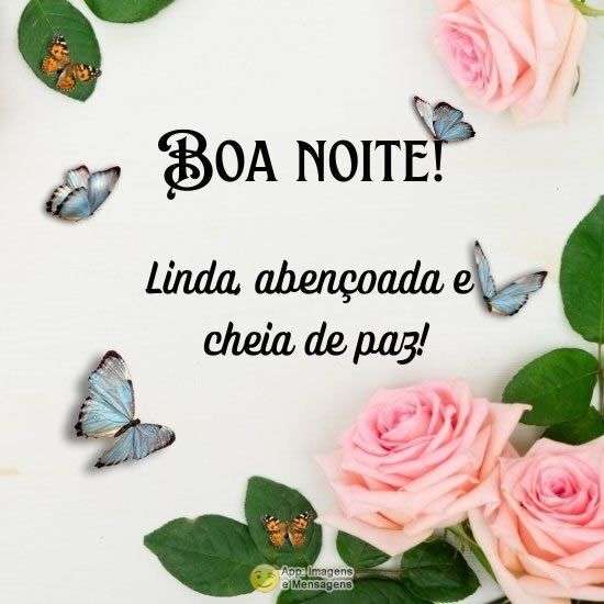 Boa Noite linda 