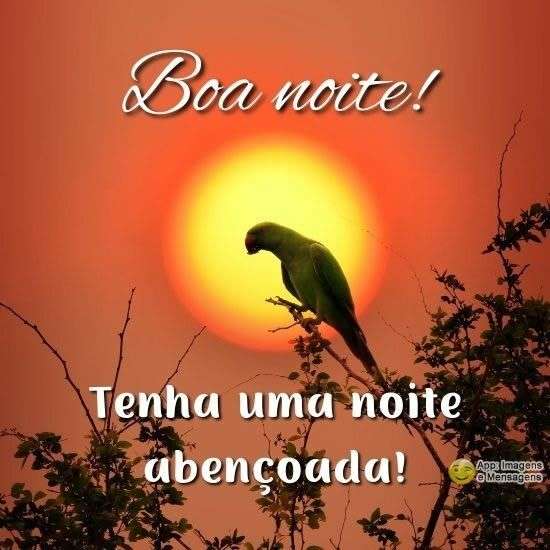 boa noite misticos online - Pesquisa Google  Mensagem de boa noite, Figura  de boa noite, Mensagen de boa noite