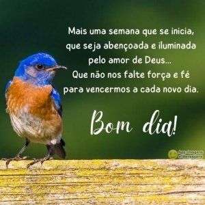 Bom dia